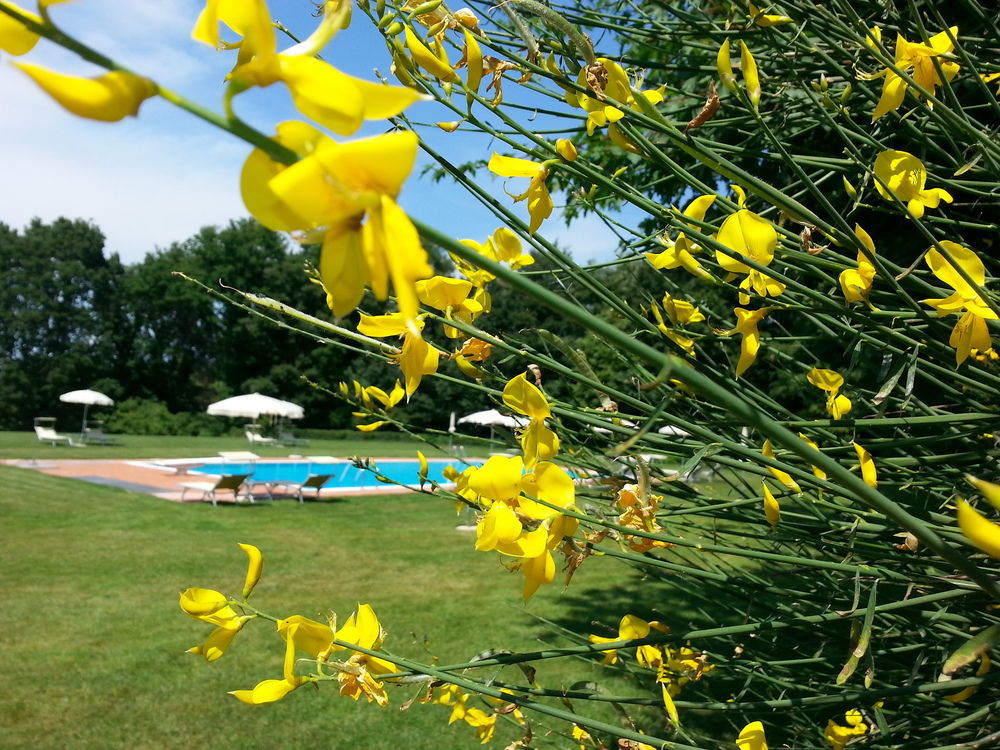 Pratello Country Resort Ghizzano Luaran gambar
